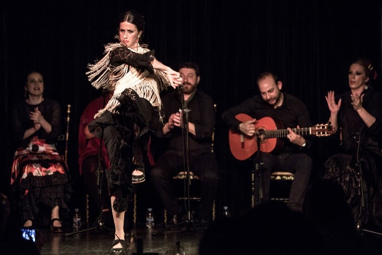 Flamenco Show and Dinner